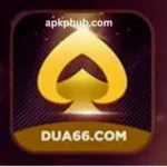 dua app
