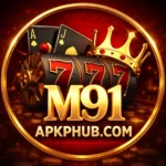 M91 Game