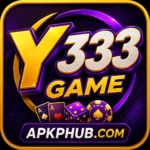 Y333 Game
